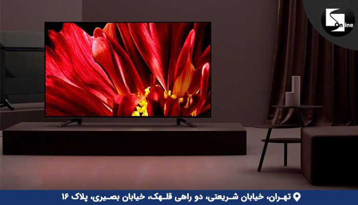 تلویزیون سونی در اتاقی با تصویر بزرگ گل قرمز بر روی صفحه نمایش